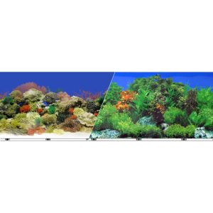 BLUE RIBBON PET PRODUCTS - BACKGROUND DOUBLE-SIDED CORAL REEF/FRESHWATER--12IN X 50FT BLUE RIBBON PET PRODUCTS - BACKGROUND DOUBLE-SIDED CORAL REEF/FRESHWATER--12IN X 50FT