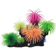 Poppy Pet - Coral Reef Formation - 14X8X9 Poppy Pet - Coral Reef Formation - 14X8X9
