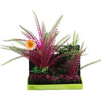Poppy Pet - Bushy Foreground Pod #11 - 8 Inch Poppy Pet - Bushy Foreground Pod #11 - 8 Inch
