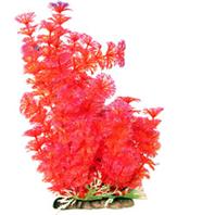 Poppy Pet - Bushy Ambuila Aquarium Plant - Red - 12 Inch Poppy Pet - Bushy Ambuila Aquarium Plant - Red - 12 Inch
