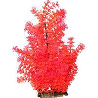 Poppy Pet - Bushy Ambuila Aquarium Plant - Red - 16 Inch Poppy Pet - Bushy Ambuila Aquarium Plant - Red - 16 Inch