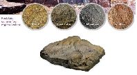Atlantic Water Gardens - Rock Lid-Ps4000/4500/4600/4900 -- Mountain Atlantic Water Gardens - Rock Lid-Ps4000/4500/4600/4900 -- Mountain