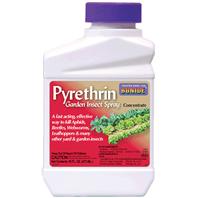 Bonide Products - Pyrethrin - Pint Bonide Products - Pyrethrin - Pint