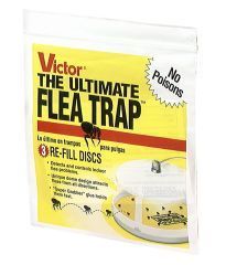 Woodstream Lawn & Garden - Victor Flea Trap Refill - 3 Pack Woodstream Lawn & Garden - Victor Flea Trap Refill - 3 Pack