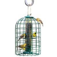 Audubon/Woodlink - Squirrel Resistant Caged Tube Feeder - Clear/Green - 1.25 Lb Capacity Audubon/Woodlink - Squirrel Resistant Caged Tube Feeder - Clear/Green - 1.25 Lb Capacity