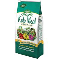 Espoma Company - Organic Traditions Kelp Meal - 4 Lb Espoma Company - Organic Traditions Kelp Meal - 4 Lb