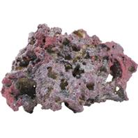 Caribsea - life rock shelf rock Caribsea - life rock shelf rock
