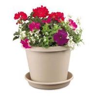 Akro-Mils - Classic Pot - Clay - 6 Inch Akro-Mils - Classic Pot - Clay - 6 Inch