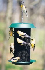 Audubon/Woodlink - Magnum Thistle Bird Feeder - Green - 5 Lb Capacity Audubon/Woodlink - Magnum Thistle Bird Feeder - Green - 5 Lb Capacity