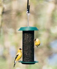 Audubon/Woodlink - Mini Magnum Thistle Feeder - Green - 0.75 Lb Audubon/Woodlink - Mini Magnum Thistle Feeder - Green - 0.75 Lb