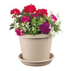 Akro-Mils - Classic Pot - Sandstone - 6 Inch Akro-Mils - Classic Pot - Sandstone - 6 Inch